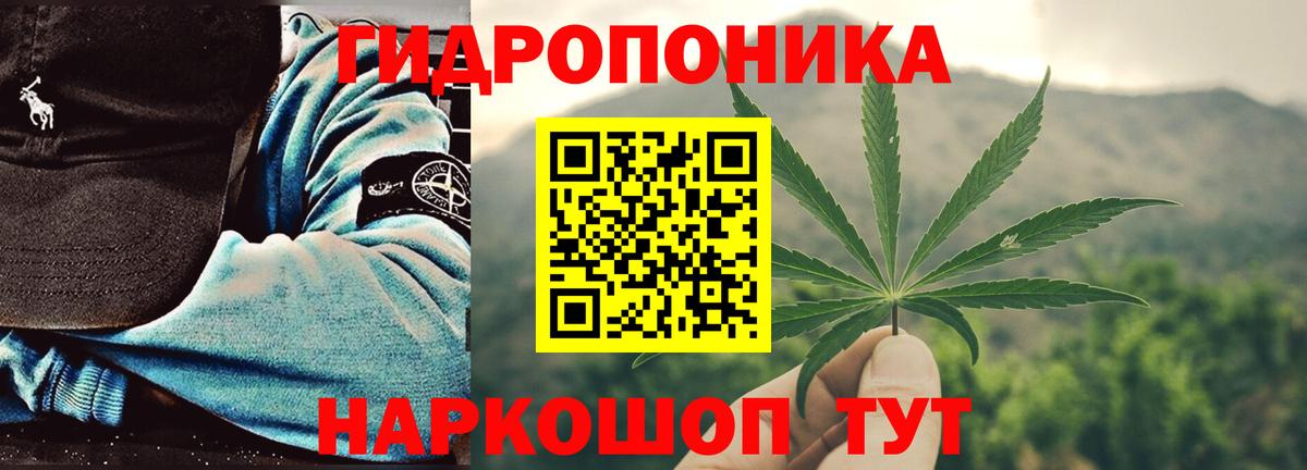 Конопля гибрид  Вход с VPN  Конопля индика  Алушта  Каннабис семена 